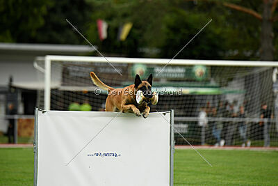 Friedel vom schnellen Falken