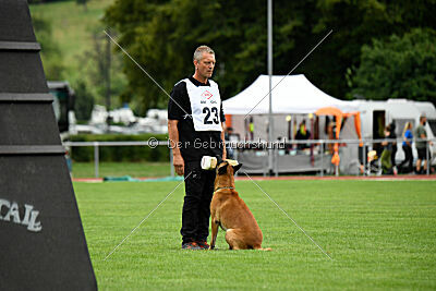 Friedel vom schnellen Falken