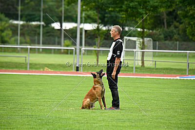 Friedel vom schnellen Falken