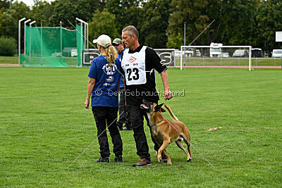 Friedel vom schnellen Falken