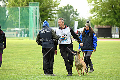 Friedel vom schnellen Falken