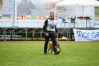 Friedel vom schnellen Falken