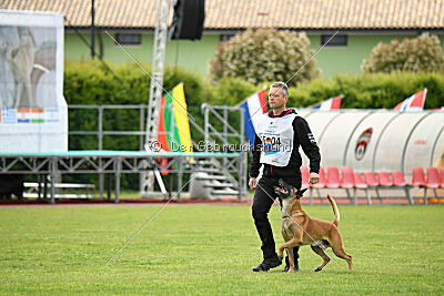 Friedel vom schnellen Falken