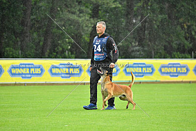 Friedel vom schnellen Falken
