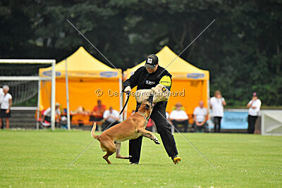 Friedel vom schnellen Falken