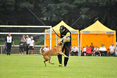 Friedel vom schnellen Falken