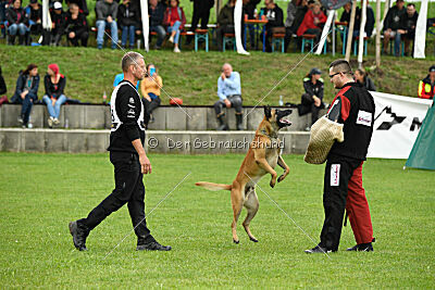 Friedel vom schnellen Falken
