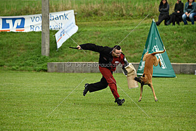 Friedel vom schnellen Falken