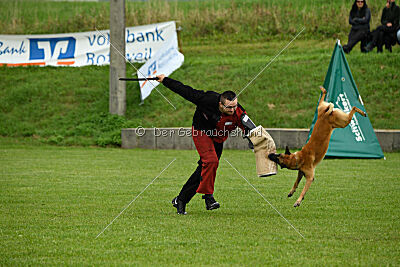 Friedel vom schnellen Falken
