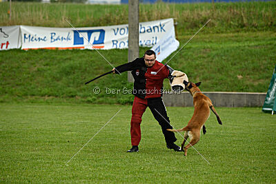 Friedel vom schnellen Falken