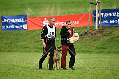 Friedel vom schnellen Falken