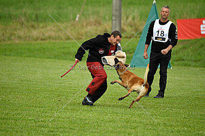 Friedel vom schnellen Falken