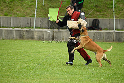 Friedel vom schnellen Falken