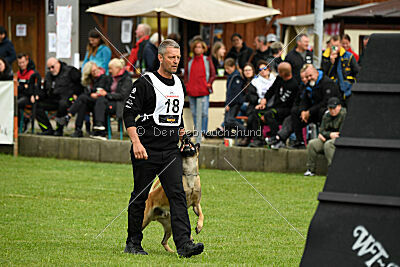 Friedel vom schnellen Falken