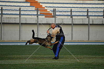 Fritz vom Niederheider Hof