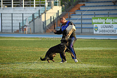 Fritz vom Niederheider Hof