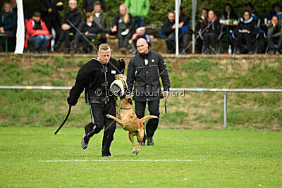 Fuma vom Streitwald