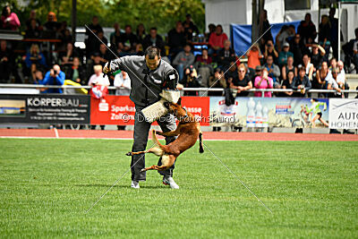 Furan vom Streitwald