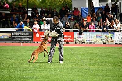 Furan vom Streitwald