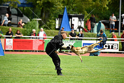 Furan vom Streitwald