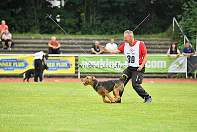 Fynn vom roten Milan