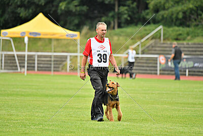 Fynn vom roten Milan