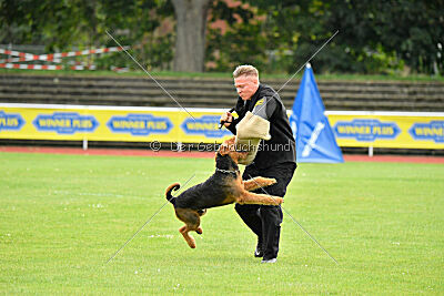 Fynn vom roten Milan