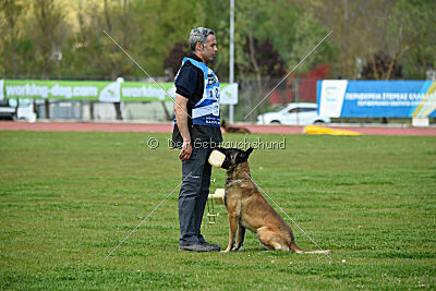 G'Dracarys Force Canina