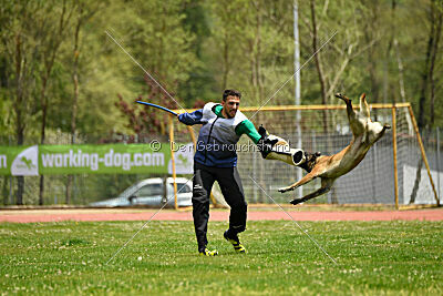 G'Dracarys Force Canina