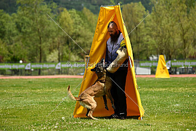 G'Dracarys Force Canina