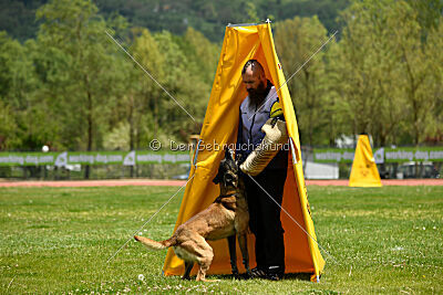 G'Dracarys Force Canina