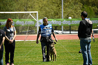 G'Dracarys Force Canina