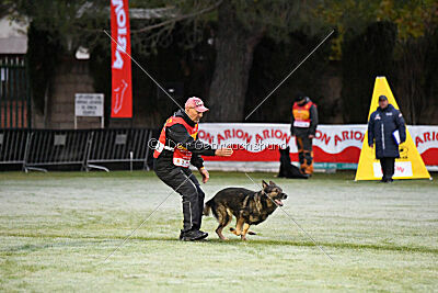 Galax de Jardines del Real