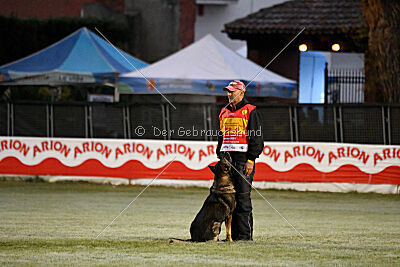 Galax de Jardines del Real