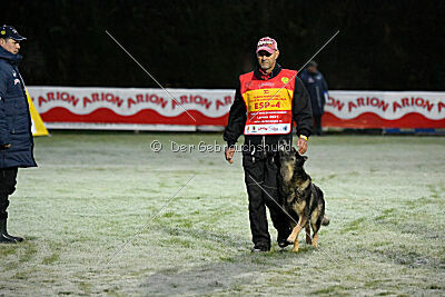 Galax de Jardines del Real