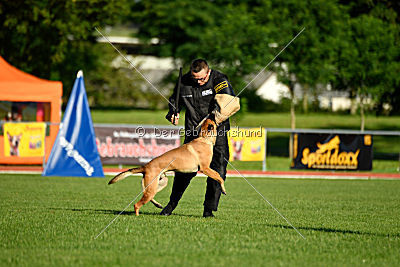 Gangster vom Haus Mecki
