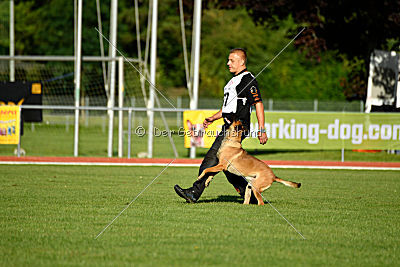 Gangster vom Haus Mecki