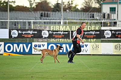 Gangster vom Haus Mecki