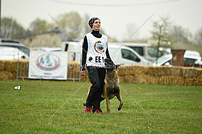 Garant Z Udoli Jizery