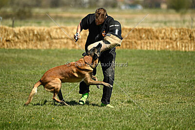 Garant Z Udoli Jizery