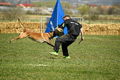 Garant Z Udoli Jizery