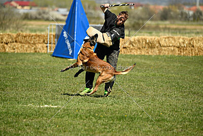 Garant Z Udoli Jizery