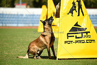 Garant z Údolí Jizery