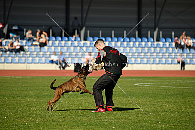 Gatsby von Langenbruch
