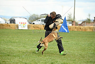 Geero z Údolí Jizery