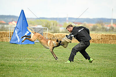 Geero z Údolí Jizery