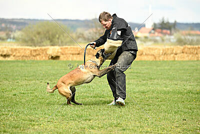 Geero z Údolí Jizery