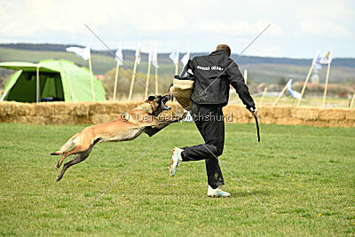 Geero z Údolí Jizery