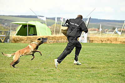 Geero z Údolí Jizery