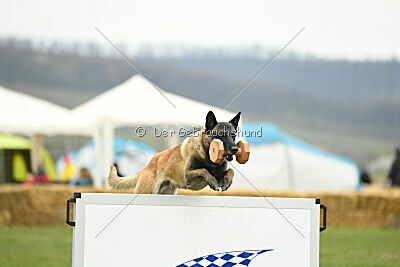 Geero z Údolí Jizery